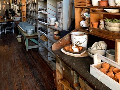 Mustard Seed Revival & The Mustard Bean