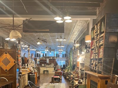 Mustard Seed Revival & The Mustard Bean