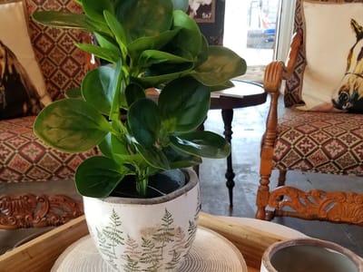 My Crystal Chandelier Coffee House & Gift Shop