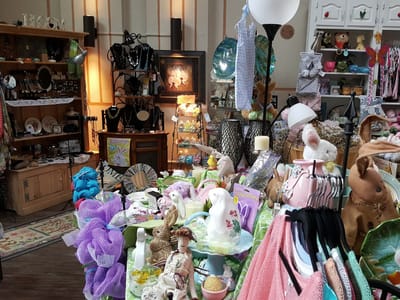 My Little Bird on Main