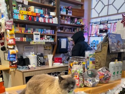 Nagley's Store - Since 1921