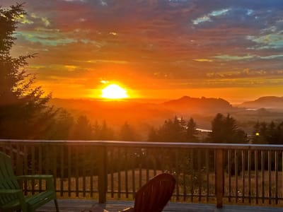 Nectar of Life Coffee