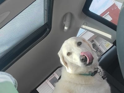 New Creation Nutrition