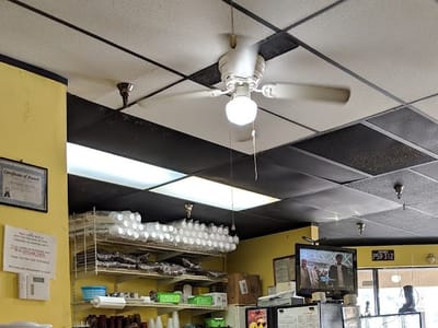 New England Coffee Shop