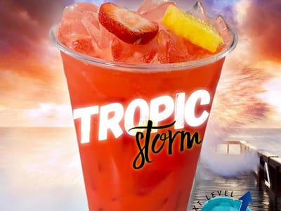 Next Level Nutrition