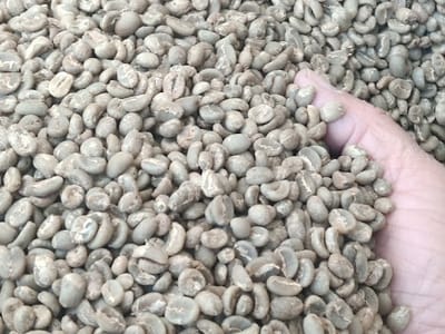 Nightwing Express Coffee Co.