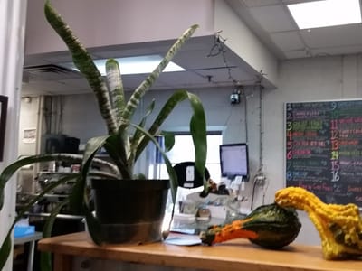 Nodo Coffee, Carry-Out & Catering