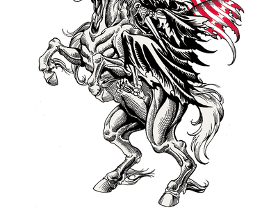 Nolan's Pour House Coffee Co.