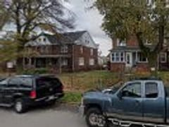 NooBrew Specialty Tea