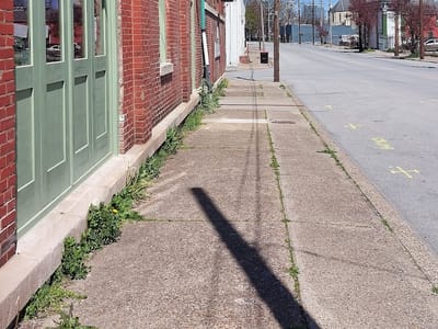 North Lime Coffee & Donuts - Old Lou