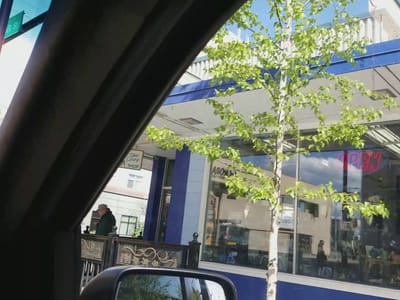 North Pole Coffee Roasting Co