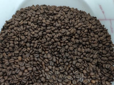 Northlandia Coffee Roasting Co.