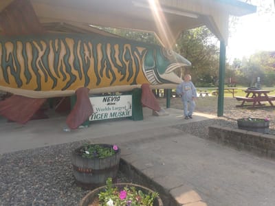 Northwoods Grocery & Cafe