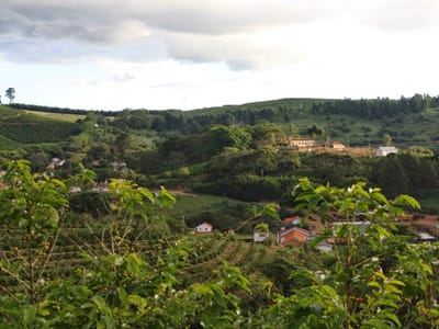 Nossa Familia Coffee