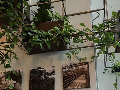 Nossa Familia Coffee