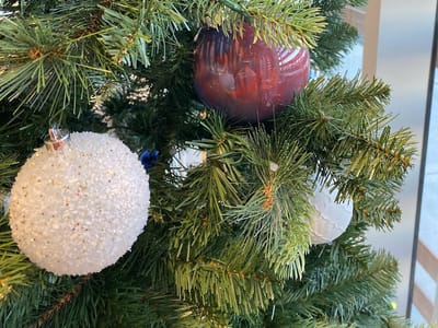 Not Your Average Joe