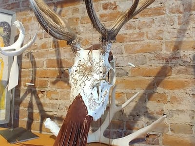 Off the Beaten Path Bookstore and Café