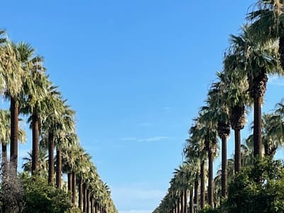 Old Litchfield Coffee Roasters