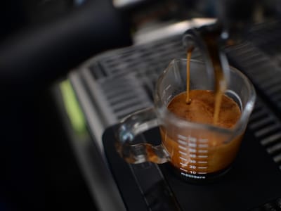 Old Pine Coffee Roasters