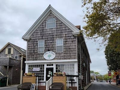 Olive and Oats Lewes