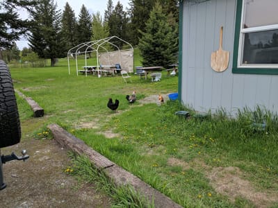 On the Fly Coffee Cafe