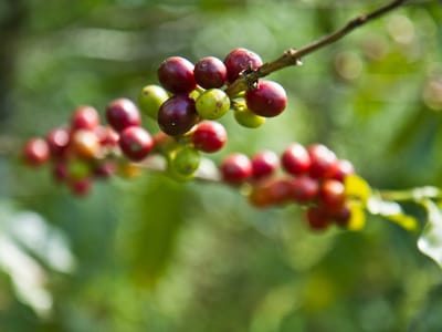 One Up One Down Coffee Roastery & Caffe