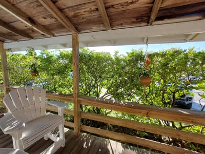 Orange Blossom Bakery & Cafe