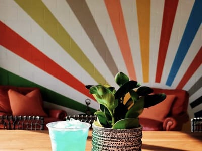 Orange Cup Side Hustle