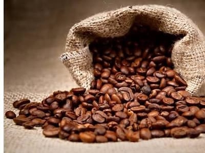 Organic Beans Coffee Co