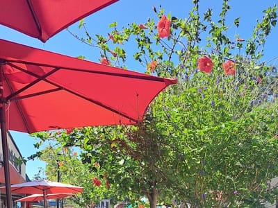 OSSORIO Bakery & Cafe