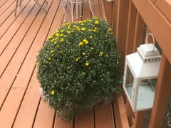 Other Suns Coffee Shop