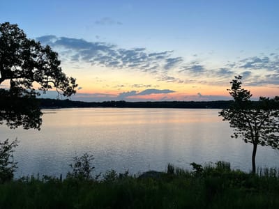 Otter Coffee and Ice Cream