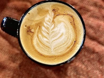 Owl Eye Coffee Roasters