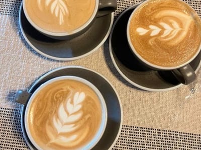 Ozark Coffee Company and Roastery