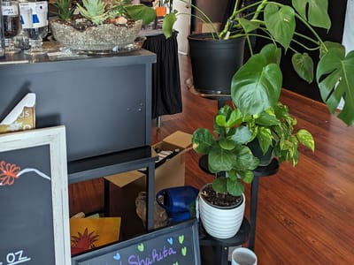 Painted Pony Expresso