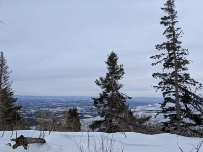 Pajarito Mountain Cafe