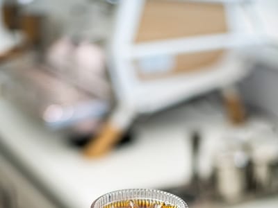 Palm Sugar Coffee Bar