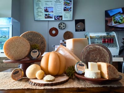 Pansardo Italian specialties Deli, Pizza and Coffee Shop