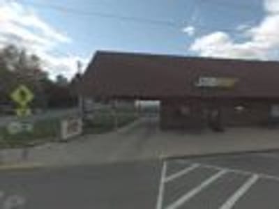 Panther Express Ice Cream