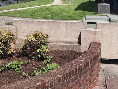 Panther Grounds Coffee Shop