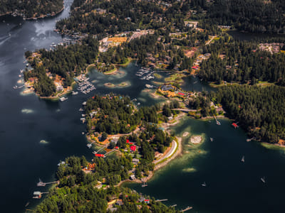 Paradise Bay Coffee Shop, Inc.