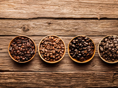 Paradise Bay Coffee Shop, Inc.