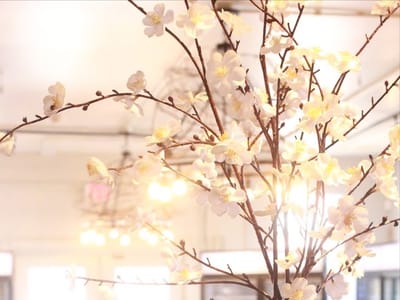 Pasco Farmshop & Coffee Bar