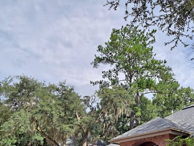 Patticakes in the Village