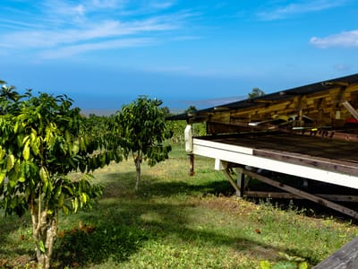 Pele Plantations: 100% Organic Kona Coffee