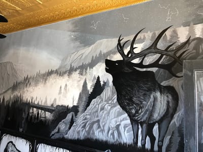 Phantom Canyon Coffee