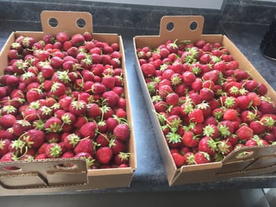 Pharmhouse Cafe & Market