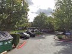 Pharoah's Crypt Coffee Co