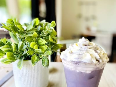 Pines to Palms Coffee