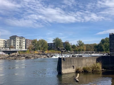 Pingala Cafe & Eatery Chace Mill